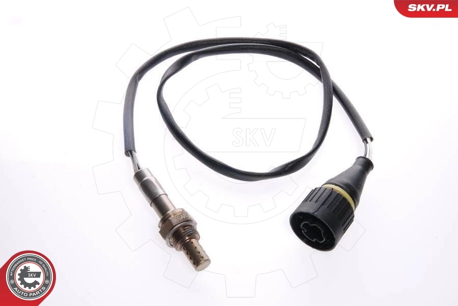 Oxygen Sensor